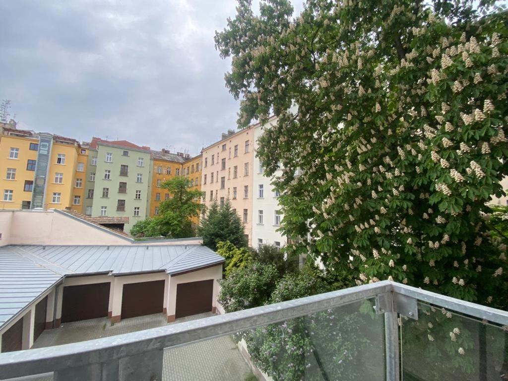 Designed Apartment Next To Vaclav Square With Terrace And Private Garage Prag Exteriör bild